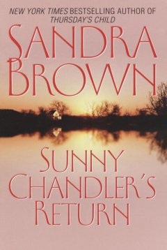 Sunny Chandler's return Cover Image