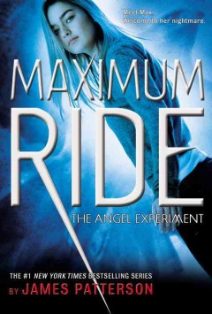 The angel experiment  Cover Image