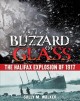 Go to record Blizzard of glass : the Halifax explosion of 1917