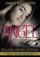 Go to record Angel : a Maximum Ride novel