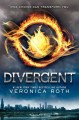 Go to record Divergent
