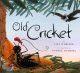 Go to record Old Cricket