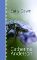 Go to record Early dawn